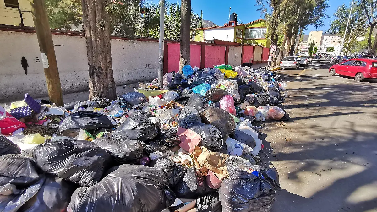 BASURA ALCALDE F BEG (2)